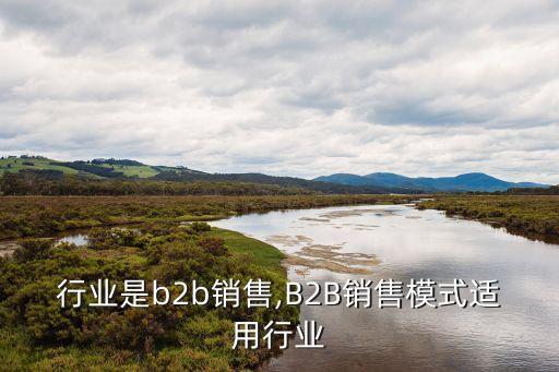 行业是b2b销售,B2B销售模式适用行业