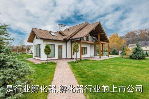 什么是行业孵化器,孵化器行业的上市公司