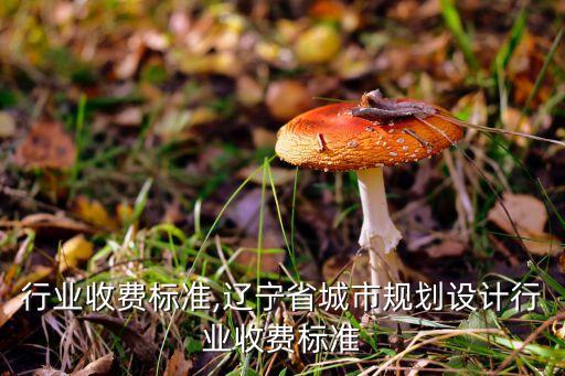 行业收费标准,辽宁省城市规划设计行业收费标准