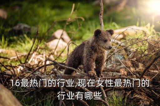 16最热门的行业,现在女性最热门的行业有哪些