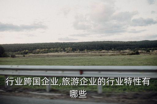 行业跨国企业,旅游企业的行业特性有哪些