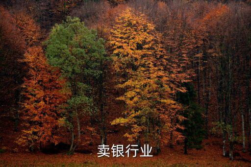 卖银行业