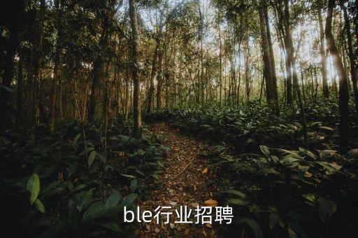 ble行业招聘