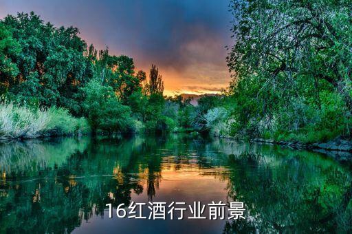 16红酒行业前景