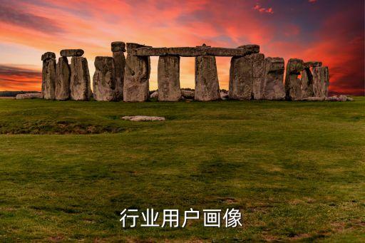 行业用户画像