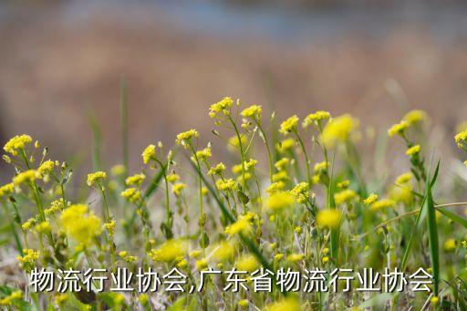 物流行业协会,广东省物流行业协会