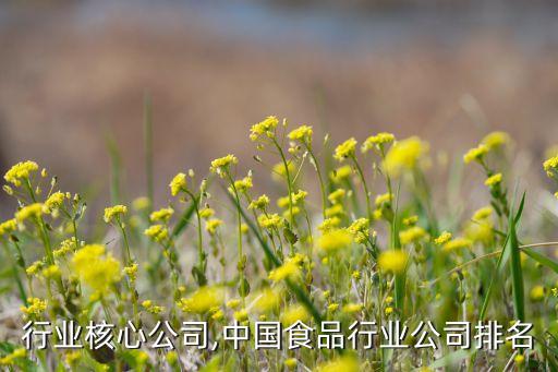 行业核心公司,中国食品行业公司排名