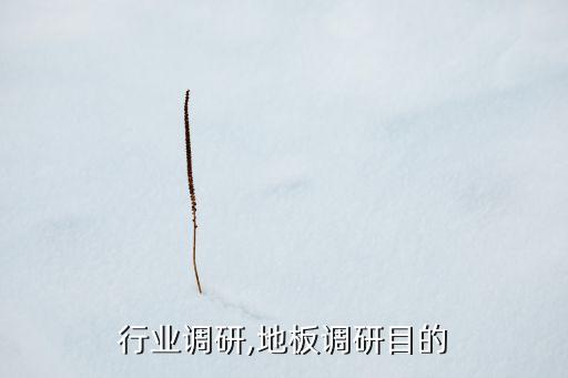 地板行业调研,地板调研目的