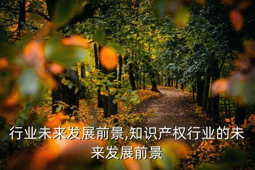 行业未来发展前景,知识产权行业的未来发展前景