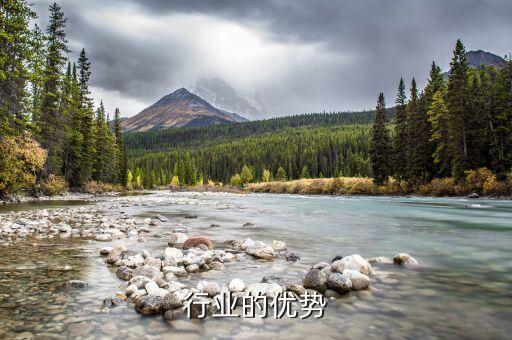 行业的优势