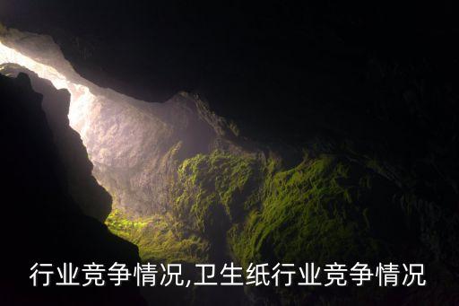 行业竞争情况,卫生纸行业竞争情况