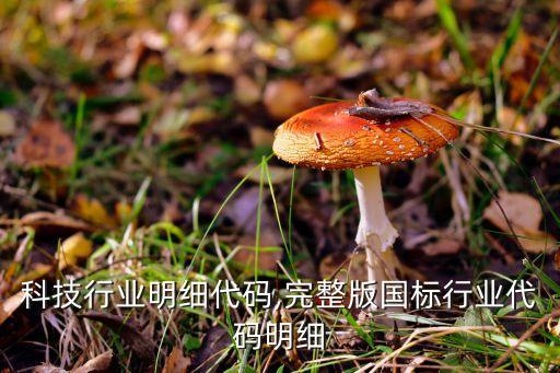 科技行业明细代码,完整版国标行业代码明细