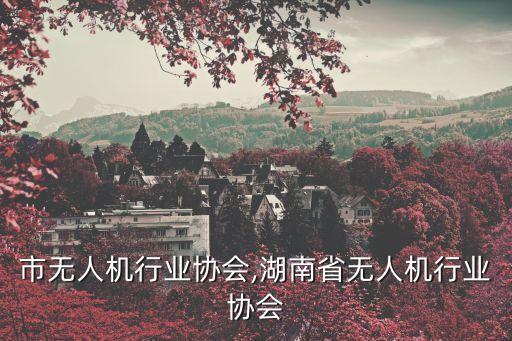 北京市无人机行业协会,湖南省无人机行业协会