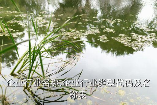 所有企业行业名称,企业行业类型代码及名称表