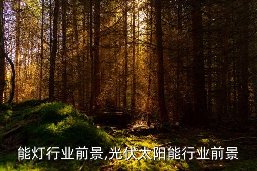 能灯行业前景,光伏太阳能行业前景