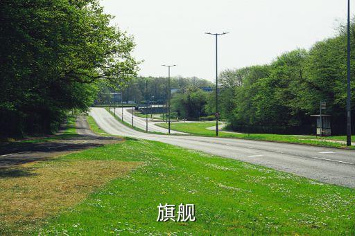 行业旗舰