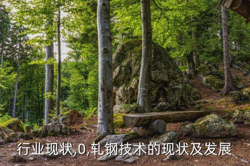 轧钢行业现状,0,轧钢技术的现状及发展
