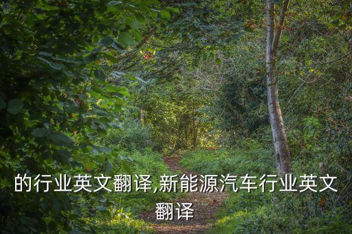 的行业英文翻译,新能源汽车行业英文翻译
