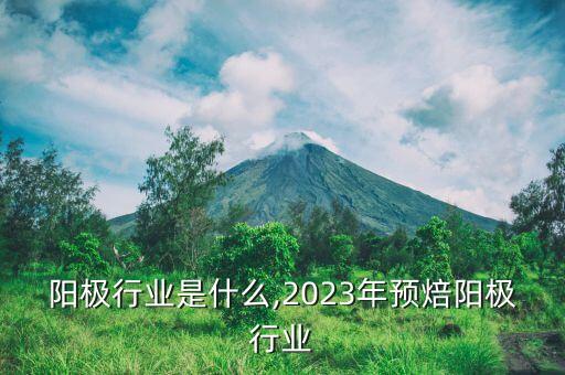 阳极行业是什么,2023年预焙阳极行业