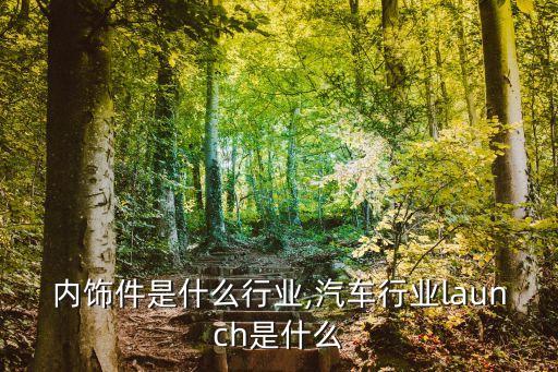 汽车内饰件是什么行业,汽车行业launch是什么
