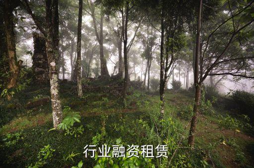 行业融资租赁