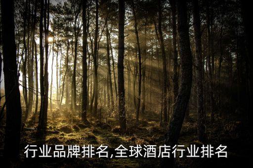 酒店行业品牌排名,全球酒店行业排名