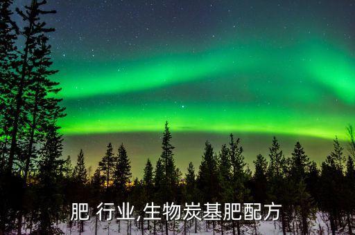 炭基肥 行业,生物炭基肥配方