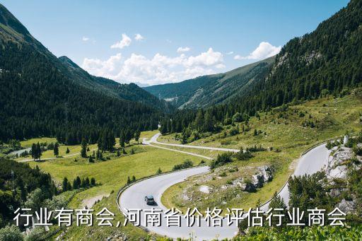 行业有商会,河南省价格评估行业商会