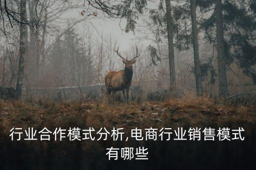 行业合作模式分析,电商行业销售模式有哪些