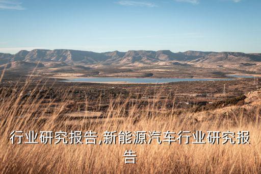 行业研究报告,新能源汽车行业研究报告