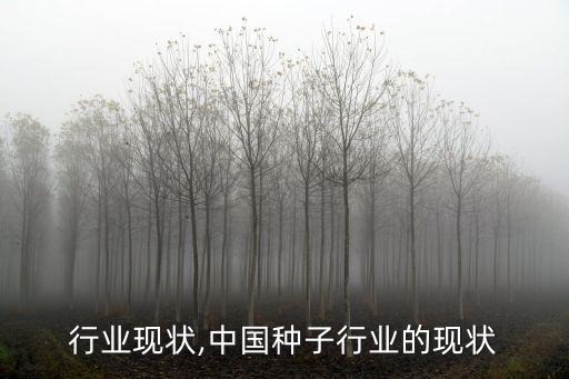 电磁行业现状,中国种子行业的现状