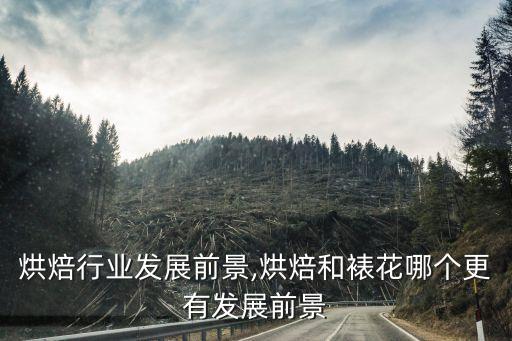 烘焙行业发展前景,烘焙和裱花哪个更有发展前景