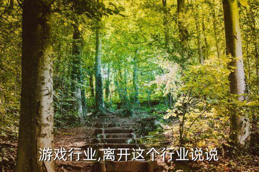 游戏行业,离开这个行业说说
