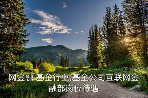 网金融 基金行业,基金公司互联网金融部岗位待遇