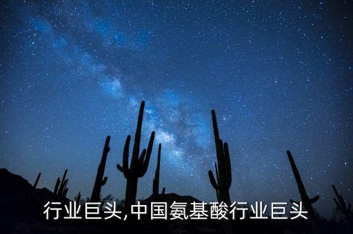 行业巨头,中国氨基酸行业巨头