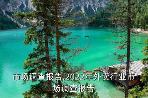 市场调查报告,2022年外卖行业市场调查报告