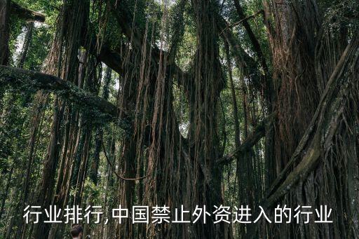 行业排行,中国禁止外资进入的行业