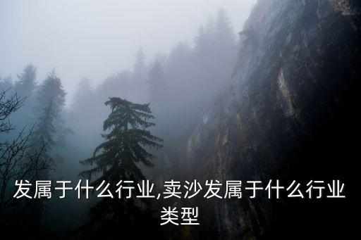 发属于什么行业,卖沙发属于什么行业类型