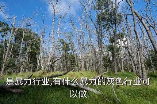 是暴力行业,有什么暴力的灰色行业可以做