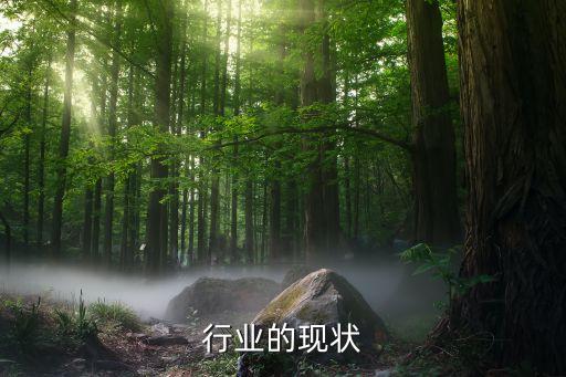 行业的现状
