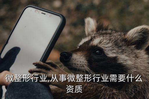 台湾微整形行业,从事微整形行业需要什么资质?