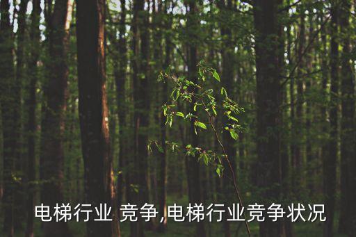 德国 电梯行业 竞争,电梯行业竞争状况