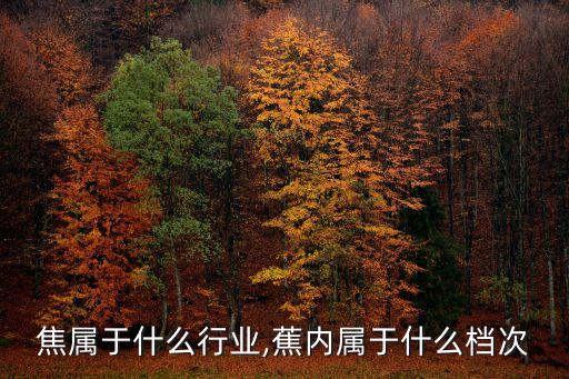 焦属于什么行业,蕉内属于什么档次