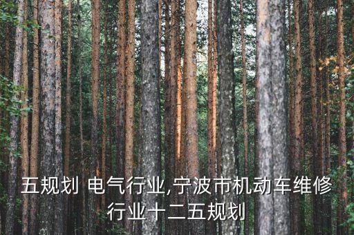 十二五规划 电气行业,宁波市机动车维修行业十二五规划