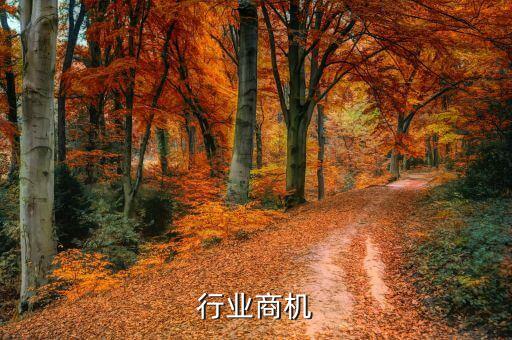 教育行业商机