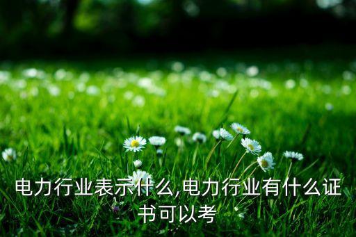 电力行业表示什么,电力行业有什么证书可以考