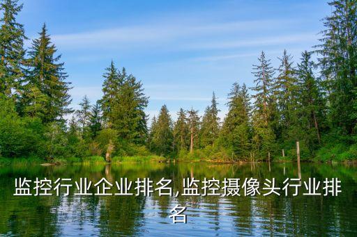 视频监控行业企业排名,监控摄像头行业排名