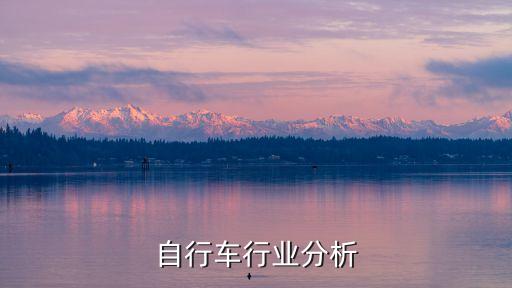 儿童自行车行业分析
