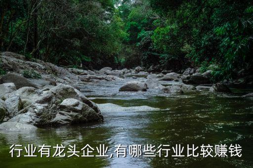 哪些行业有龙头企业,有哪些行业比较赚钱
