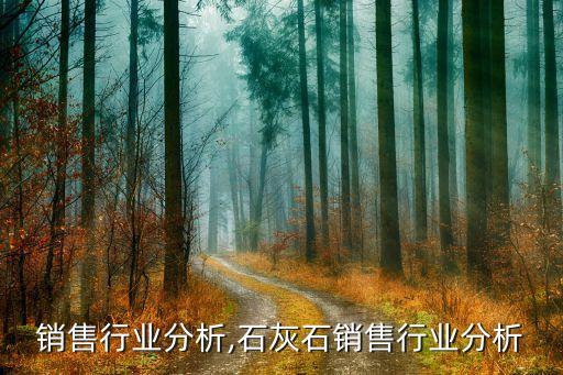 热门销售行业分析,石灰石销售行业分析